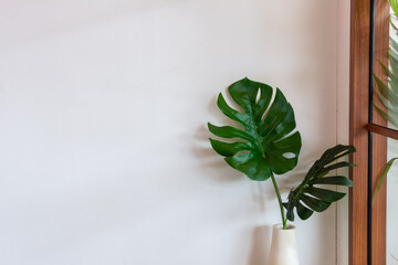 Fototapeta na wymiar Monstera leaf in a vase against the white wall