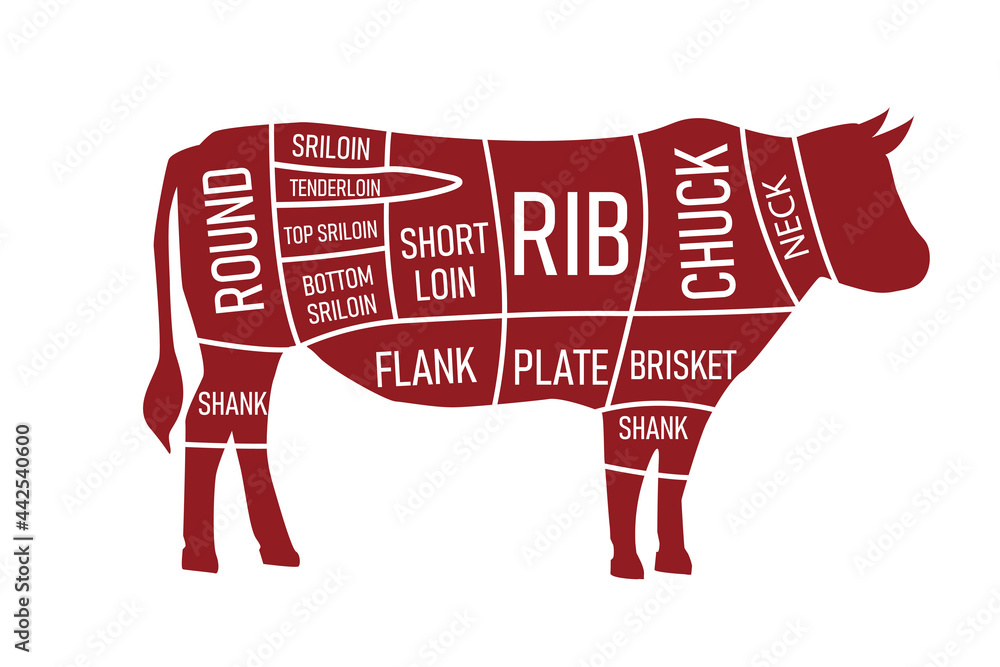 Wall mural Beef parts of the cow isolated on wite background. red beef meat cuts. vector illustration in flat design.