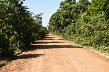 path in the park