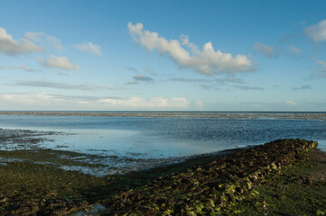 Waddenzee, Wadden Sea