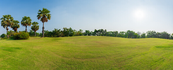 Panorama green grass on  golf field