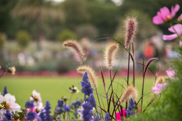 Keywords -- Keywords must be descriptive of the subject matter a