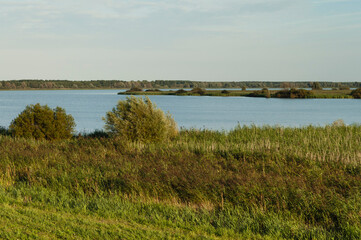 Uitzicht over Oostvaardersplassen, Overview of Oostvaardersplassen