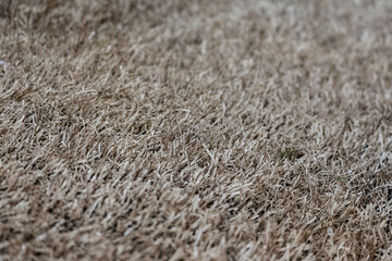 texture of turf baseball field