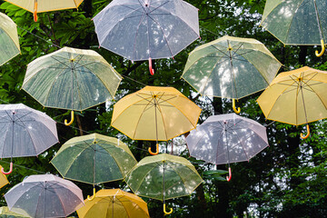 傘　雨季