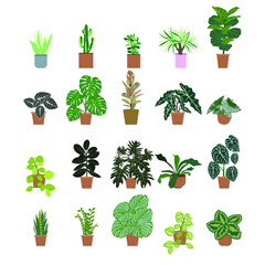 collection of houseplant in flat style, vector