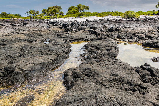 Tide Pools Formed In Ancient Lava Flows on Puhili  Point, Honokohua National Historic Park, Hawaii Island, Hawaii, USA