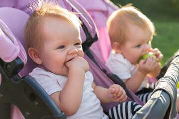 Happy twins in baby carriage in nature on a sunny day.