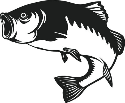 Download 4 055 Best Bass Fish Tail Images Stock Photos Vectors Adobe Stock