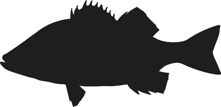 Free Free 195 Clipart Largemouth Bass Bass Fish Svg Free SVG PNG EPS DXF File