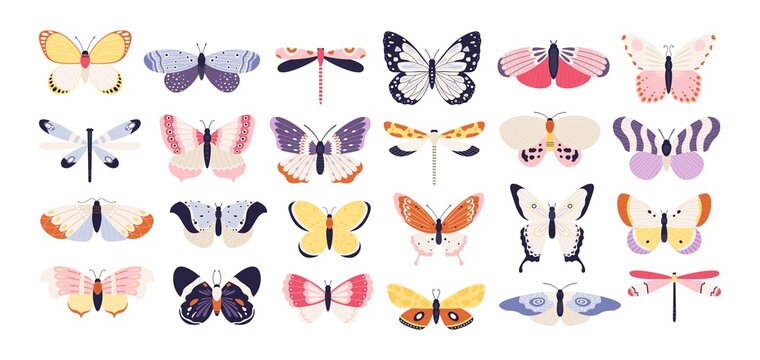Cute butterflies. Decorative spring butterfly colorful wings. Monarch, moth and dragonfly. Tropical beautiful floral insect flat vector set