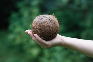 Coconut in woman's hand on green background