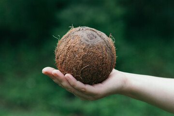 Coconut in woman's hand on green background