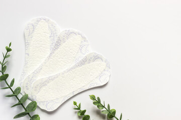 Feminine hygiene panty liner for menstruation. Menstrual cycle, pad. White background. red strawberry.