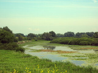 Nature reserve Kil van Hurwenen near Zaltbommel