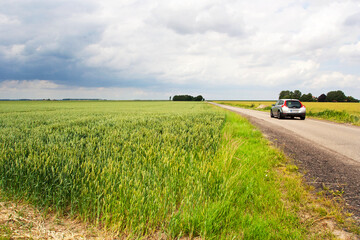 Carel Coenraadpolder, Noord-oost Groningen (Nederland / Netherlands)