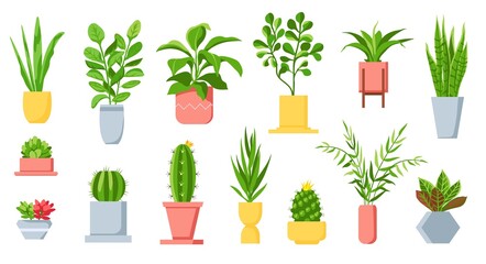Fototapeta na wymiar Pot plants. House tropical leaves, tree, succulents and cactus. Urban jungle, home green garden in flowerpots. Cartoon houseplant vector set