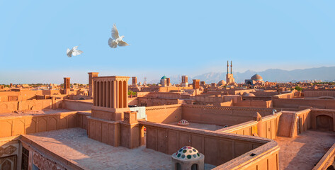 Historic City of Yazd with famous wind towers, white pigeon in the background - YAZD, IRAN