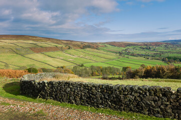 Fototapeta na wymiar Dry stone wall and view of valley with fields and trees in the North Yorkshire, Moors. Glaisdale, UK.