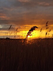 Fototapeta premium Straw in godrays