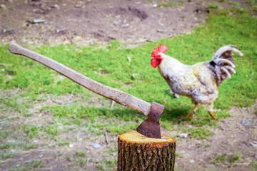 Slaughterhouse.The rooster runs past an ax sticking out of a log. A frightened bird saves a life by...