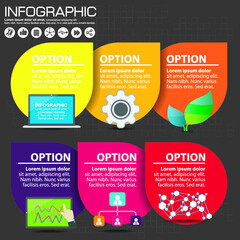 Timeline colorful infographic with icons and steps concept.