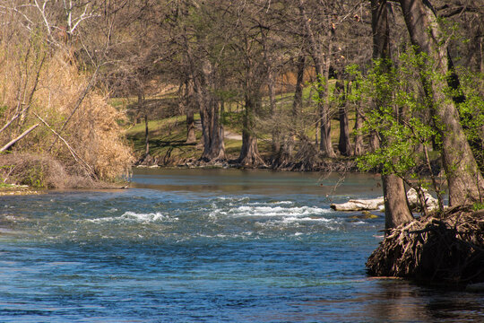 Guadalupe River Flowing Through Park With Trees On Banks In New Braunfels Texas