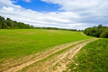 Rural landscape. Dirt road in the field, going beyond the horizon. Field, forest and sky with clouds.