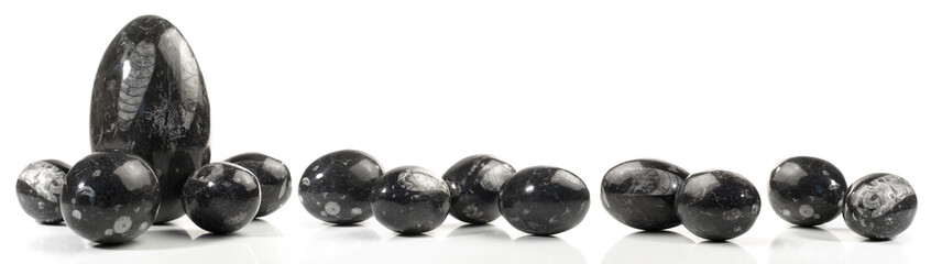 Black fossil stone banner - Zen Stones isolated on white background