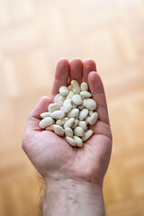 Heap of dry white beans held in palm by Caucasian male close up top view shallow depth of field