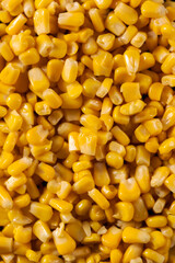 Yellow corn as background texture
