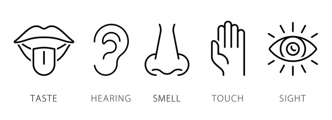 Creative vector illustration line icon set of five human senses. Vision, hearing, smell, touch, taste isolated on transparent background. Art design nose, eye, hand, ear, mouth with tongue element