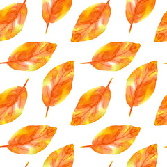 Seamless pattern with yellow leaves. Watercolor autumn tree leaf. Botanical background. Good for textile, fabric, gift wrapping paper, card design, clothes print. Creative backdrop. 