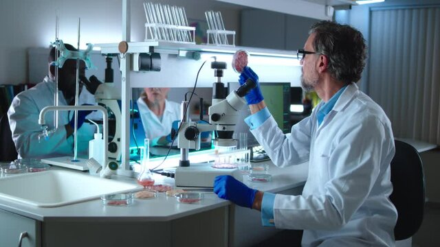 Middle aged scientist examining cell meat near colleagues