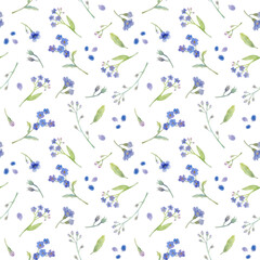 Watercolor hand drawn seamless floral pattern with blue flowers on white background. Forget-me-nots and greenery. 