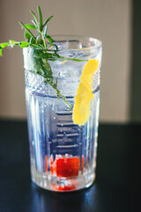 Gin and Tonic cocktail
