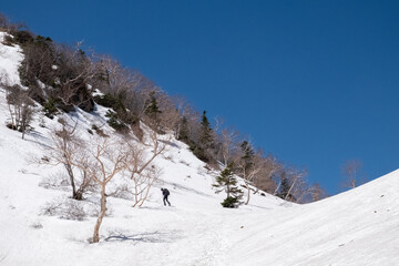 Obraz premium 残雪上を進む