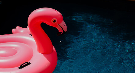Summer vacation fun funny Pink  Flamingo  float  in a swimming pool trendy summer concept