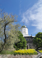 The entrance to the Vyborg Castle and the St. Olaf Tower, past the yellow flowers and trees in the...