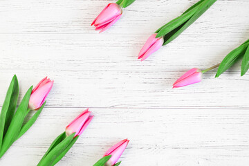 Pink spring tulips on a background of white boards. Place for text.