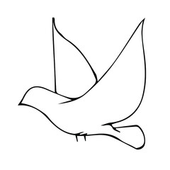 Hand-drawn illustration of a dove. Vector doodle birds isolated on white background for your design of wedding cards, posters, invitations.