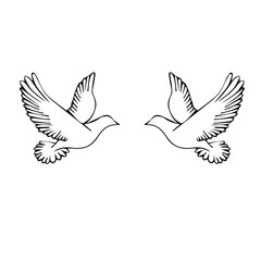 Hand-drawn illustration of a dove. Vector doodle birds isolated on white background for your design of wedding cards, posters, invitations.