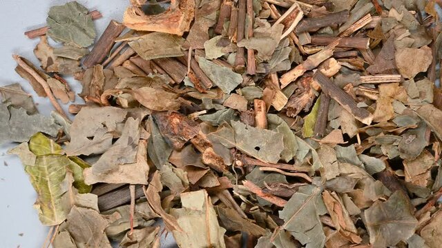 top pan herb ZhongJieFeng or Sarcandrae Herba or Glabrous Scrcandra Herb