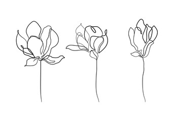 Abstract Flowers Line Art Set. Modern Minimalist Single Line Art, Flowers, Aesthetic Contour. Great for Poster, Prints, t-shirt, Wall Art, Logo, Banner. Set of 3 Creative Minimalist Floral Drawings.