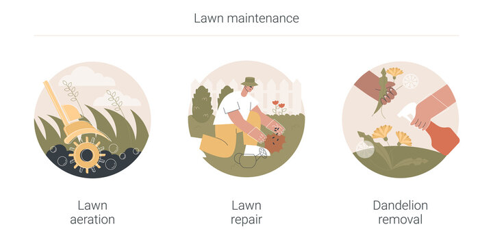 Lawn maintenance abstract concept vector illustration set. Lawn aeration and repair, dandelion removal, overseeding service, grass fertilization, thatch and moss, soil compaction abstract metaphor.