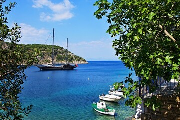 Fototapete bei efototapeten.de bestellen   