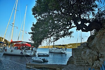 Fototapete bei efototapeten.de bestellen   