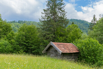 A small barn on a meadow in the Bavarian Alps