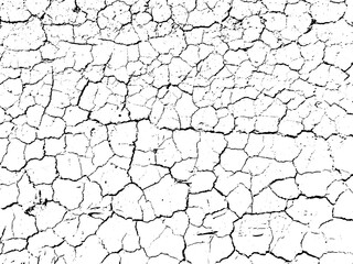 The cracks texture white and black. Vector background. Cracked earth. Structure of cracking. Cracks in dry surface soil texture. shards