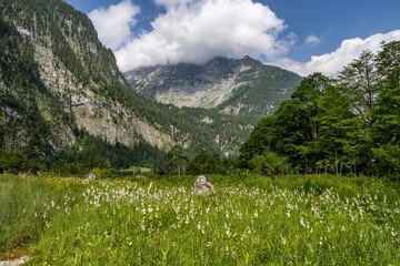 Path to Obersee Lake behind the Watzmann massif, Salet at Koenigssee, Berchtesgaden National Park,...